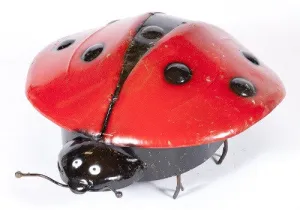 Pair Ladybugs decorative plants  
