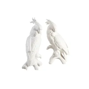 Pair of Large Ceramic Cockatoos dried flowers  