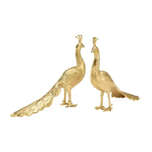 Pair Of Polished Brass Decorative Peacocks dried flowers  