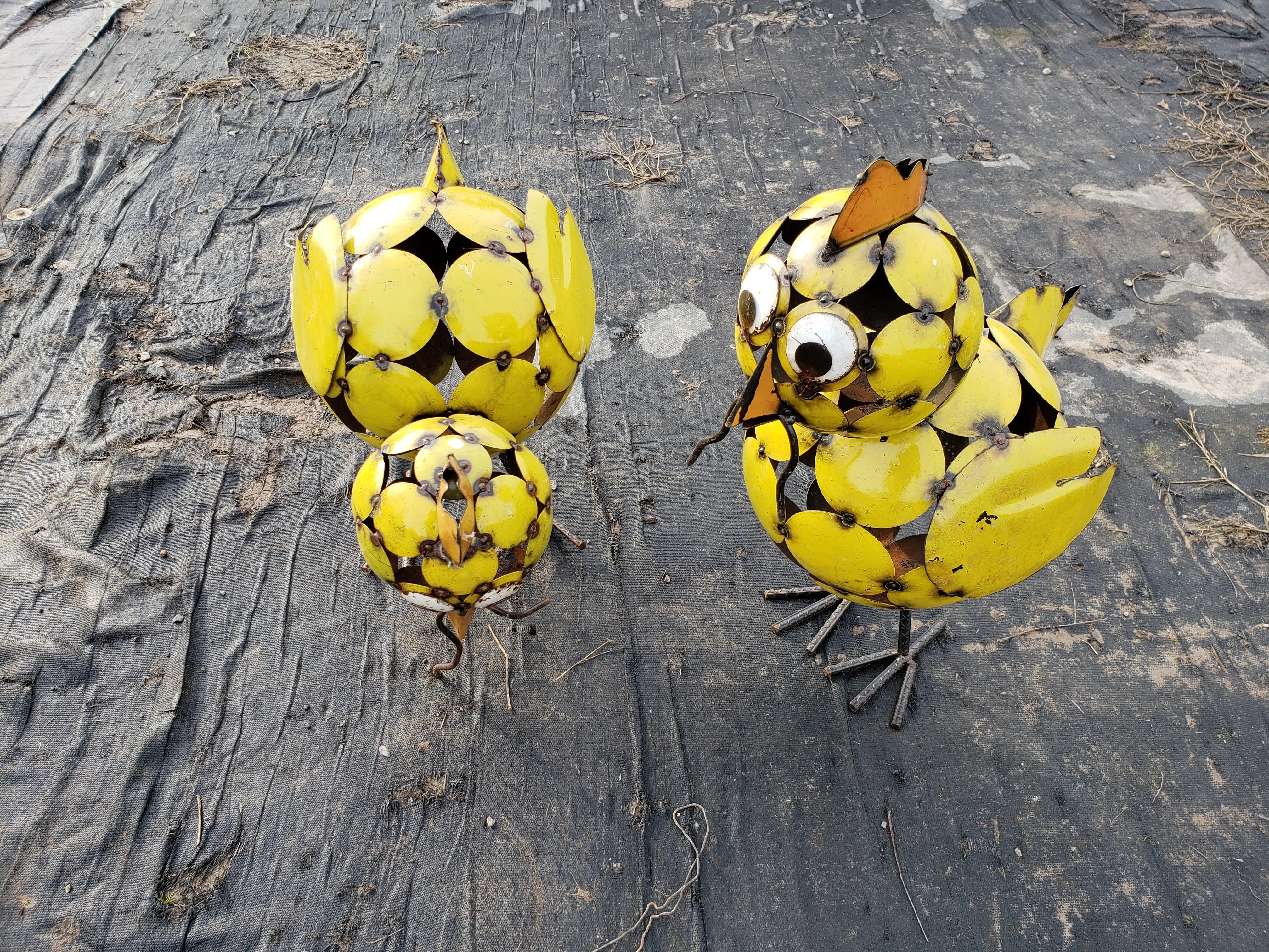 Pair of yellow chicks decorative plants  