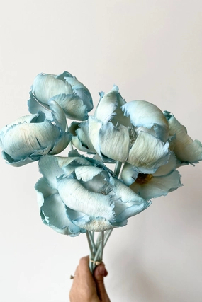 Palm Cap Baby Blue Pastel Preserved Bunch indoor houseplants  