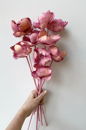 Palm Cap Pink Pastel Preserved Bunch indoor houseplants  