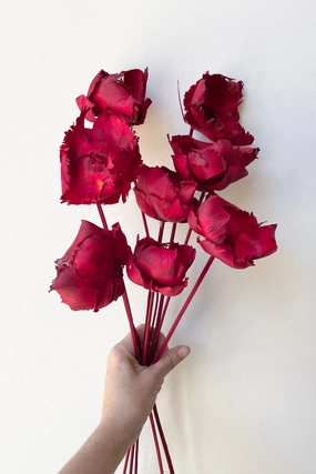 Palm Cap Red Pastel Preserved Bunch indoor houseplants  