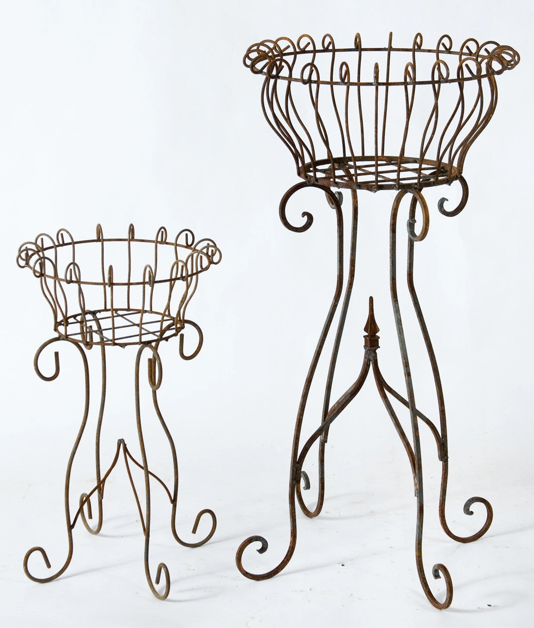 Parisian Flower Planter Plant Stand Set of 2 cactus succulent plant  