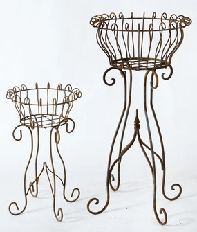 Parisian Flower Planter Plant Stand Set of 2 cactus succulent plant  
