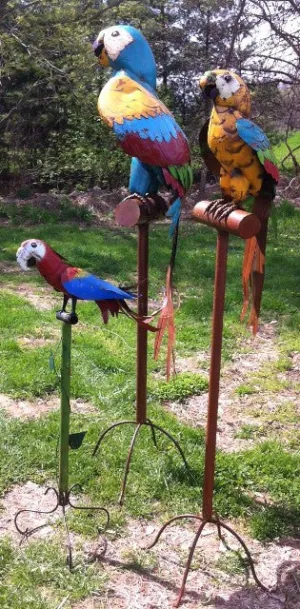 Parrot on Stand decorative plants  