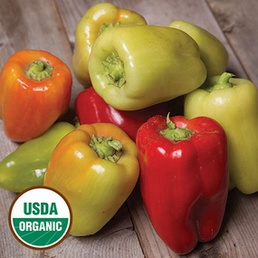 Pepper, Garden Sunshine Organic Seeds small flower pot  