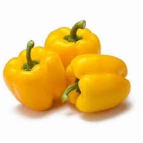 Pepper, Quadrato Asti Giallo Organic Seeds small flower pot  