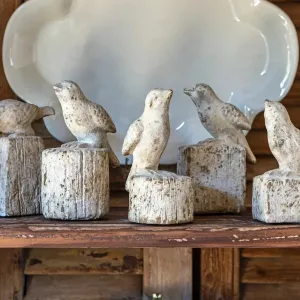 Perched Bird Relics Set dried flowers  