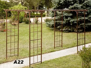 Pergola decorative plants  