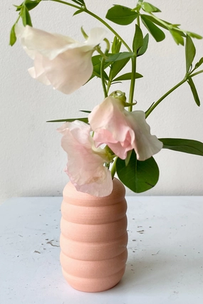 Petite pastel Ribbed Vase Peach dried green plant  