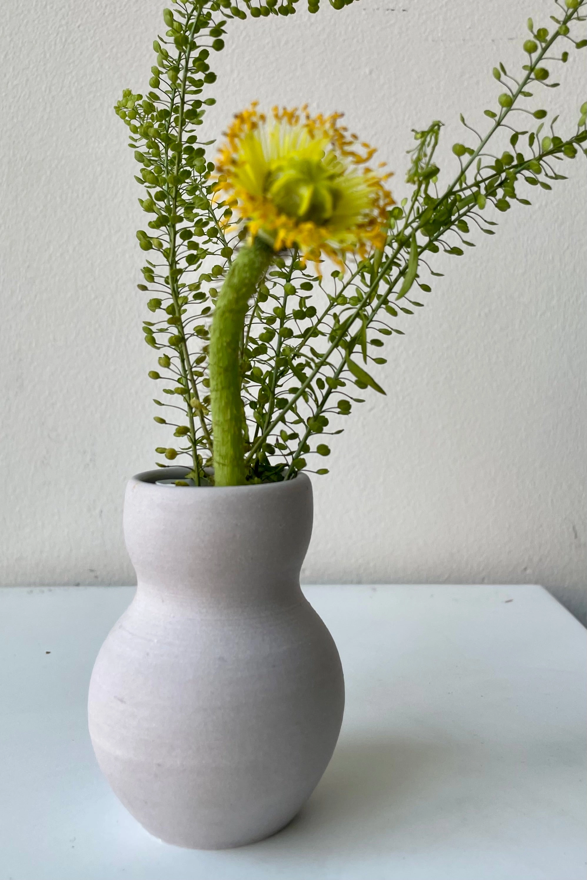 Petite pastel Urn Vase Lavender dried green plant  