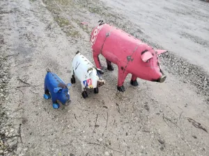 PIG9G decorative plants  