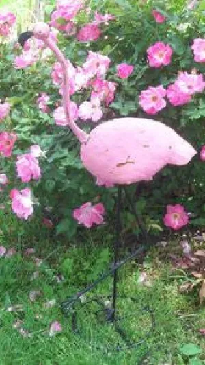 PINK FLAMMINGO decorative plants  