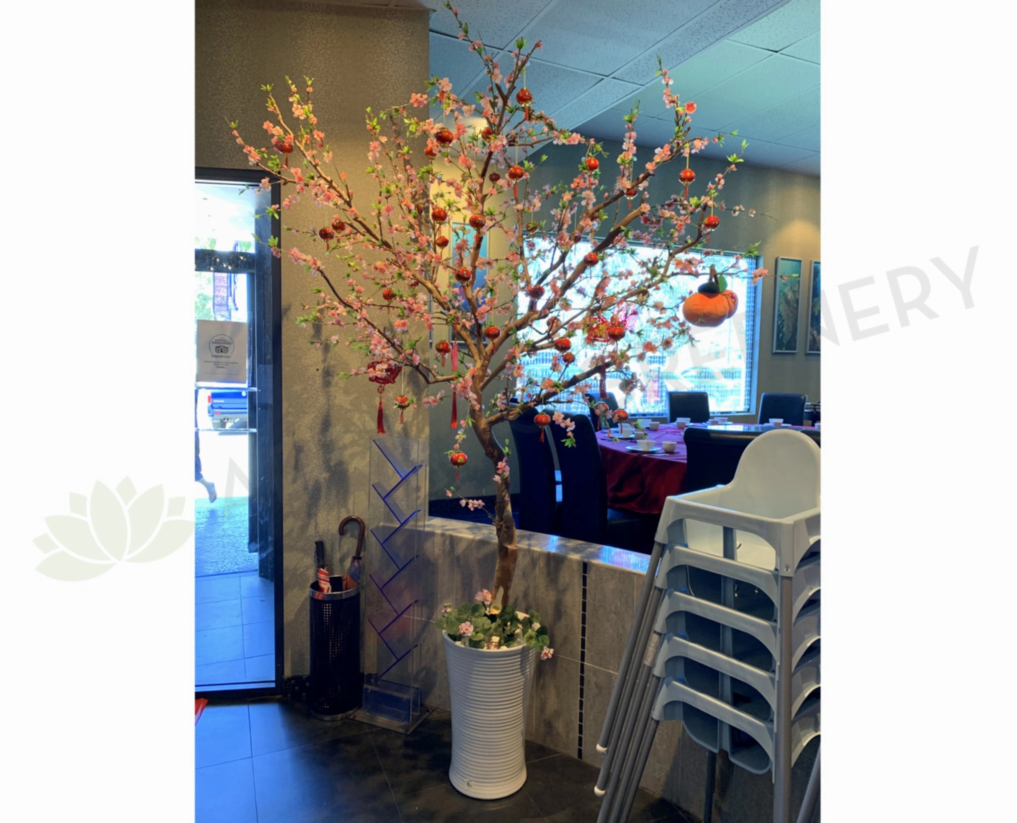 Pink Blossom Tree 190cm Tall (made-to-order) sun perennial  