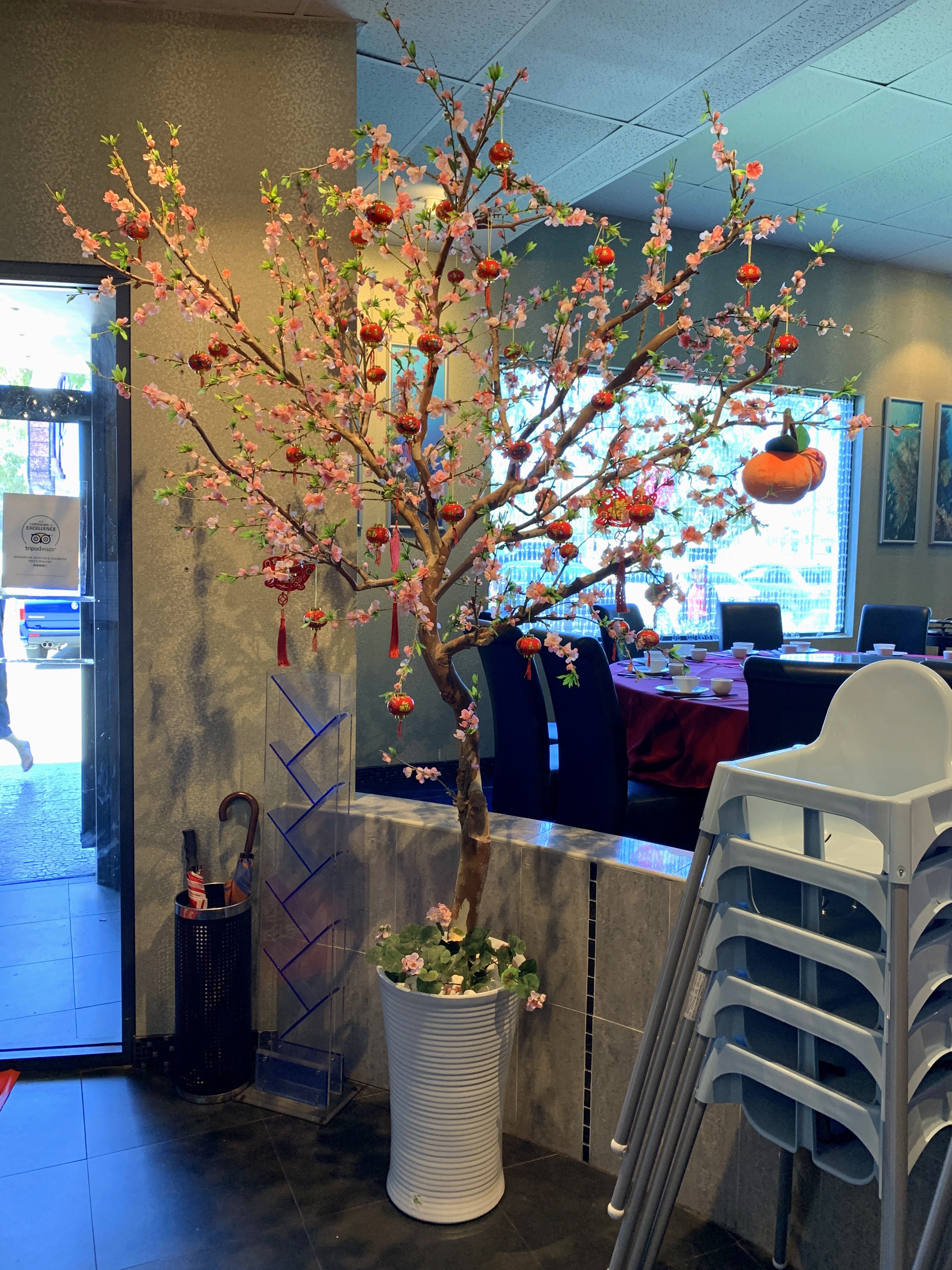 Pink Blossom Tree 190cm Tall (made-to-order)