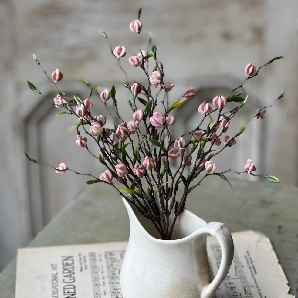 Pink Daydream Buds