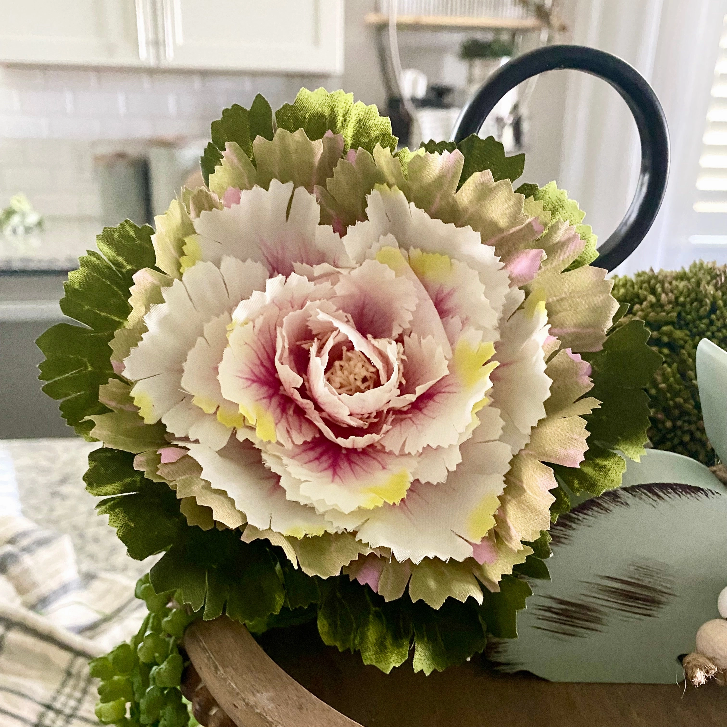 Pink Potted Cabbage xl flower pot  