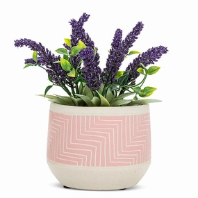 Pink Small Etched Planter - 5"D plant seeds  