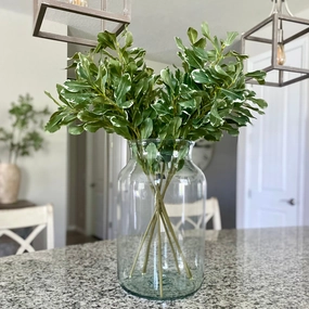 Pittosporum Leaf Stem xl flower pot  