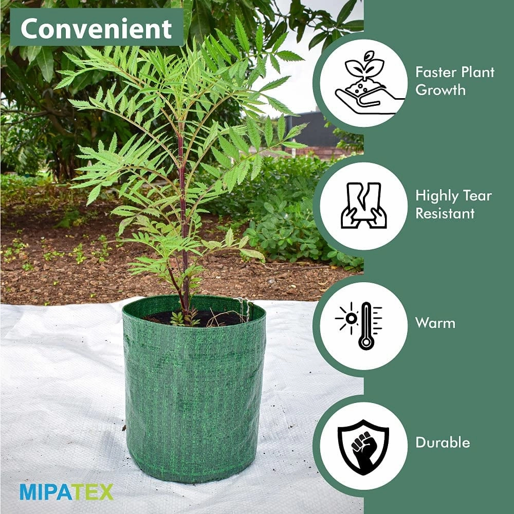 Plant Grow Bags