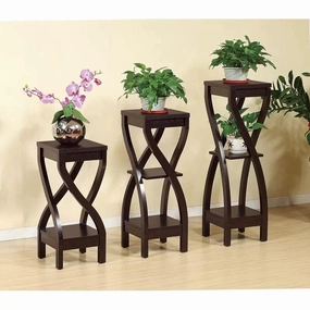 Plant Stand : VINI Plant Stand cactus succulent plant  