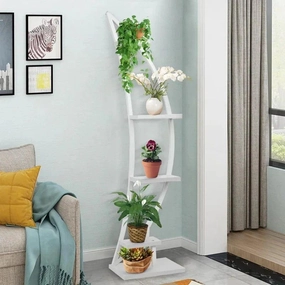 Plant Stand: Curved Multi-Tiered Plant Stand cactus succulent plant  