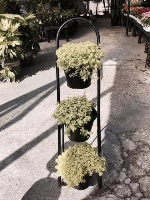 Plant Stand: Free Form Multi-Tiered Plant Stand