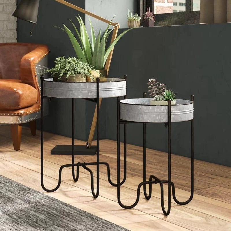 Plant Stand: Metal Plant Table Set cactus succulent plant  