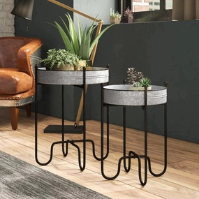 Plant Stand: Metal Plant Table Set cactus succulent plant  