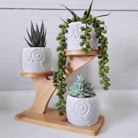 Plant Stand: Multi-Tiered Bamboo Plant Stand cactus succulent plant  