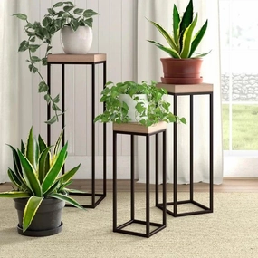 Plant Stand: Nesting Plant Stand cactus succulent plant  