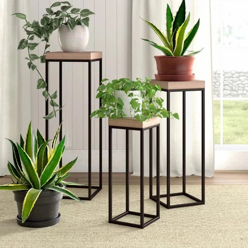 Plant Stand: Nesting Plant Stand cactus succulent plant  