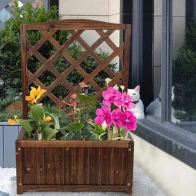 Plant Stand: Rectangular Multi-Tiered Solid Wood Plant Stand cactus succulent plant  