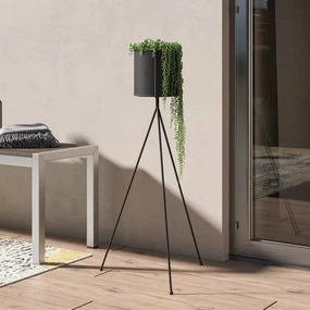 Plant Stand: Round Black Plant Stand cactus succulent plant  