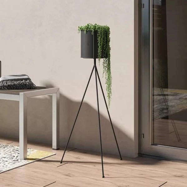 Plant Stand: Round Black Plant Stand cactus succulent plant  