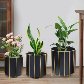 Plant Stand: Round Corner Plant Stand cactus succulent plant  
