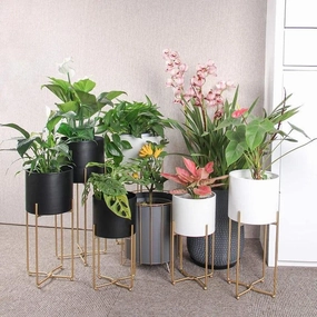 Plant Stand: Round Nesting Plant Stand cactus succulent plant  