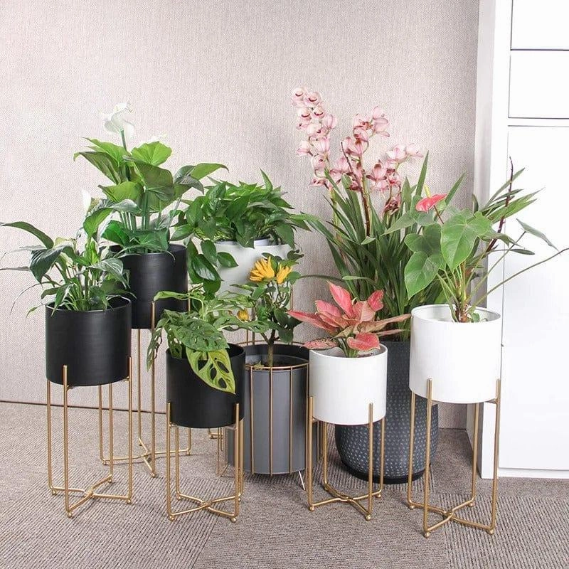 Plant Stand: Round Nesting Plant Stand cactus succulent plant  