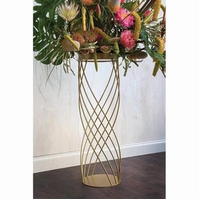 Plant Stand: Round Pedestal Plant Stand cactus succulent plant  