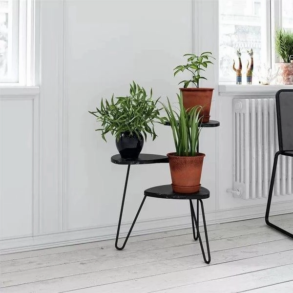 Plant Stand: Triangular Multi-Tiered Plant Stand cactus succulent plant  
