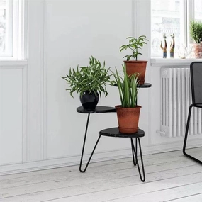 Plant Stand: Triangular Multi-Tiered Plant Stand cactus succulent plant  