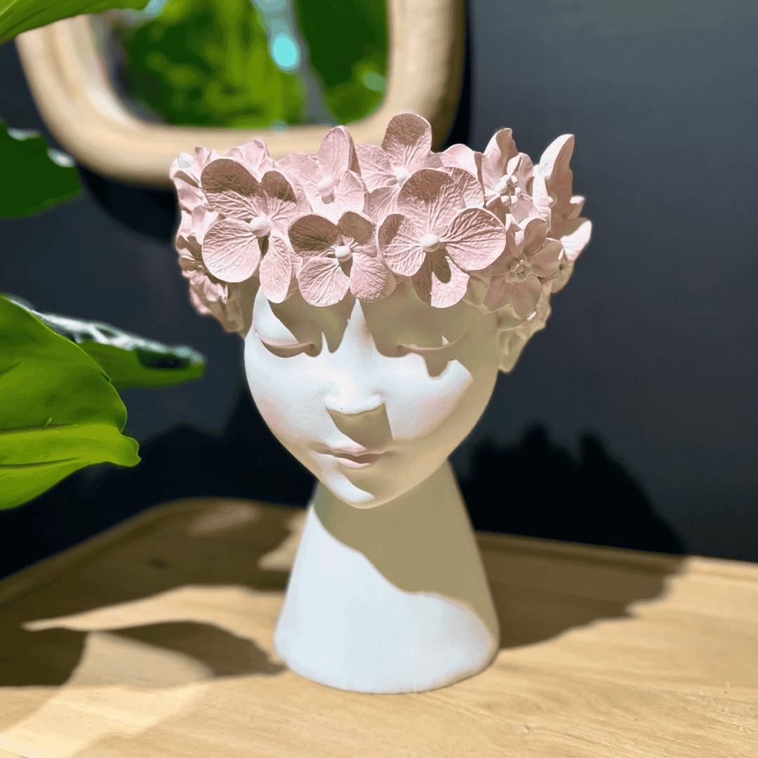 Planter Decorative Figure Pink plant seeds  