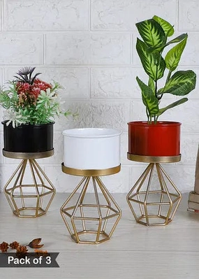 Planters with Diamond Shape Stands (Set of 3) hanging green plant  