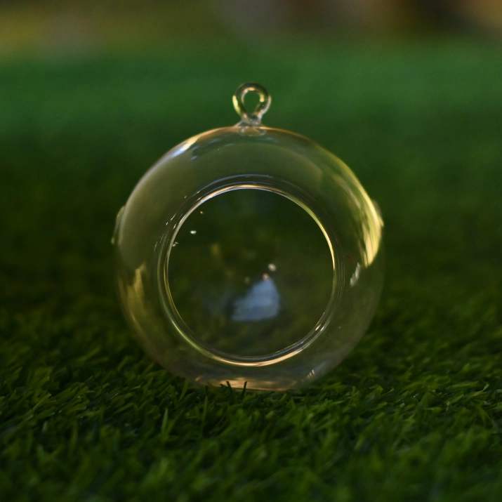 Plantlane Hanging Glass Globe Plant Terrariums Orbs Air Plants Tea Light Candle Holders