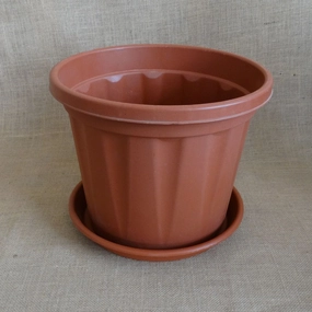 Plastic 7 Inch Grower Pot With 7 Inch Tray hanging green plant  
