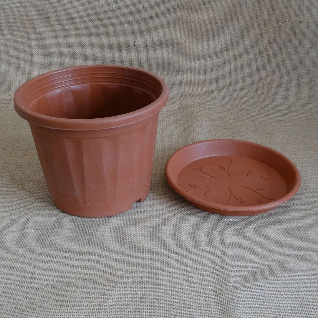 Plastic 7 Inch Grower Pot With 7 Inch Tray