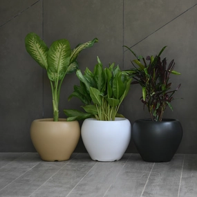 Plastic Apple Pot 10" For Plants classic flowerpot  