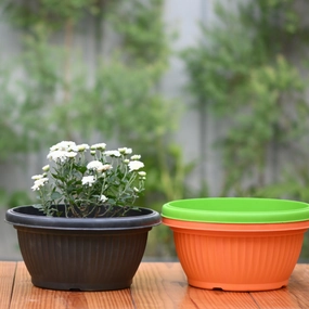 Plastic Bello Bowl 30 Pot/ Planter- Set of 4 hanging green plant  