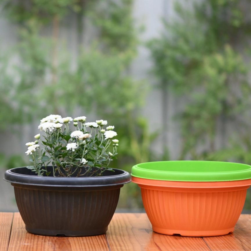 Plastic Bello Bowl 30 Pot/ Planter- Set of 4 hanging green plant  